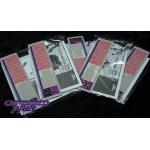 BotCon 2011 The Stunti-Con Job Box Set with Comic