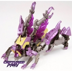 TG-08 Kickback